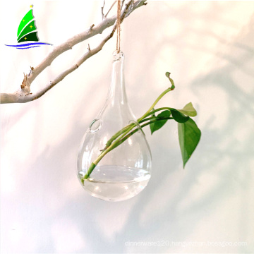 glass vase blown hydroponic glass terrarium vase wholesale